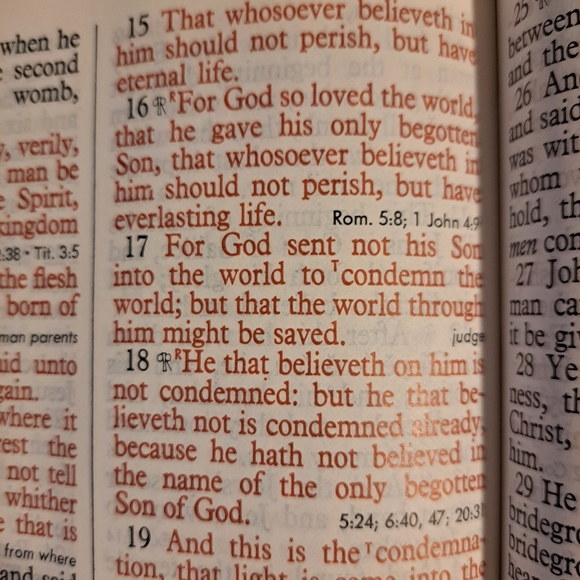 Giant Print Bible - Picture 5 of 7